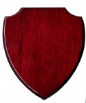 shield awards plaque